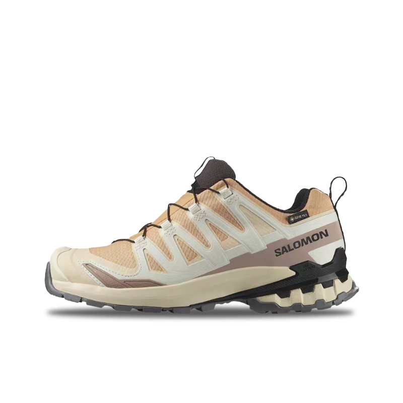 Salomon XA Pro 3D V9 GTX: Um t - Salomon Shoes Xa Pro 3D avaliação e preço