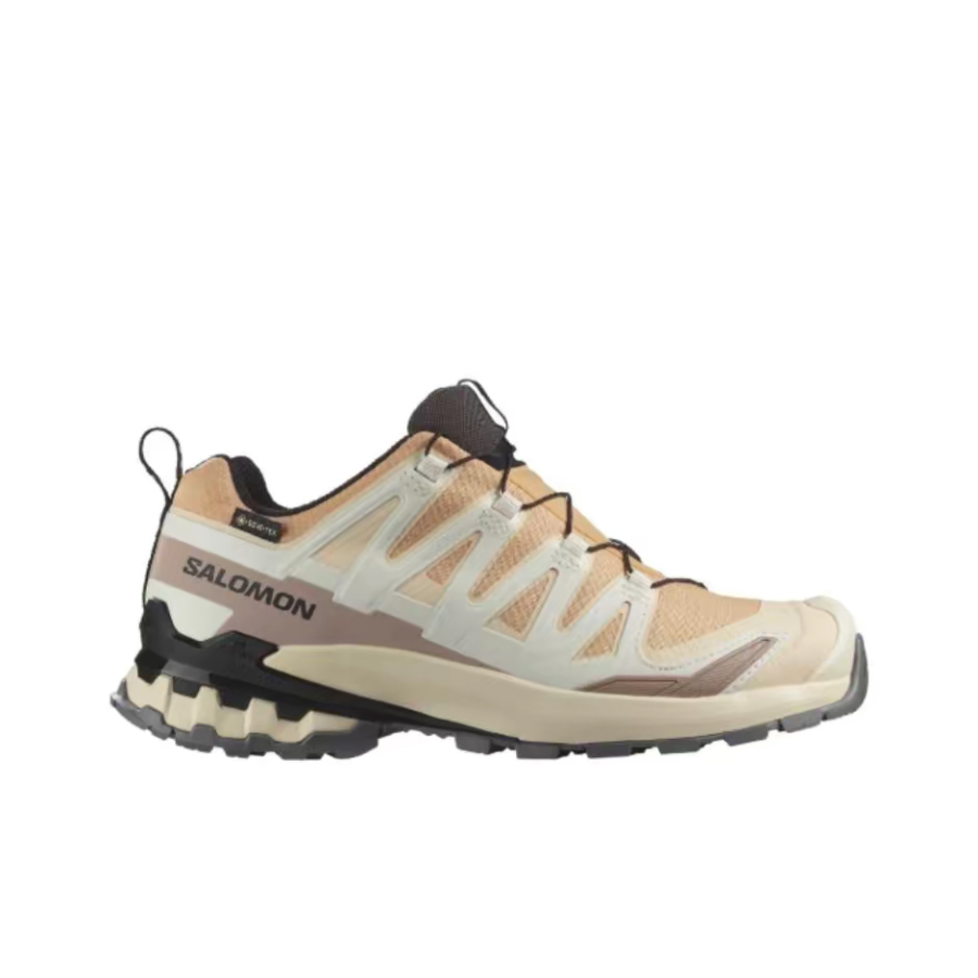Salomon XA Pro 3D V9 GTX: Um t - Salomon Shoes Xa Pro 3D avaliação e preço
